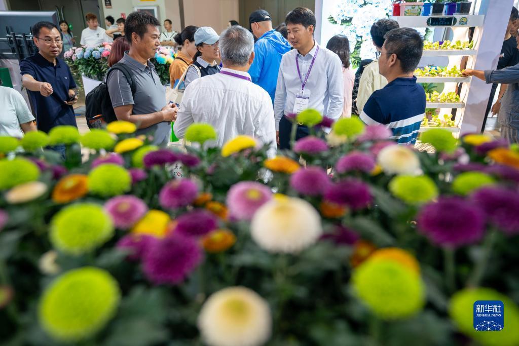 大奖网官方网站网址